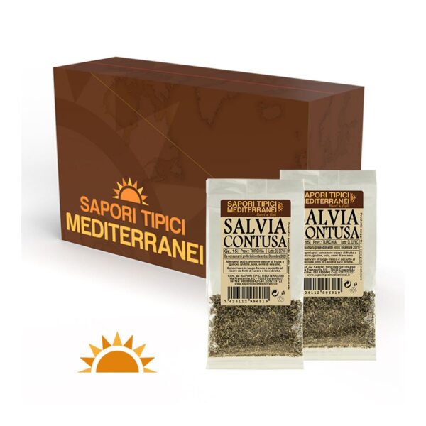 Box Salvia contusa
